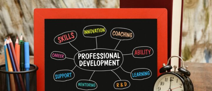 Customizable Professional Development